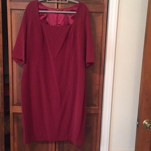 NWOT Amazon’s Society New York burgundy dress
